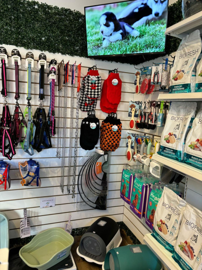 Local Comercial ID.12002 - ALQUILER LOCAL COMERCIAL EN POCITOS 