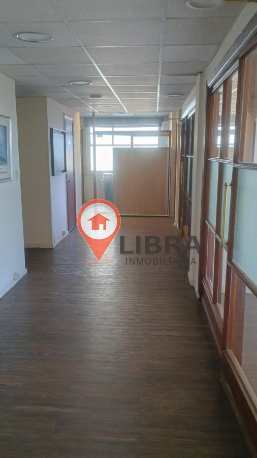 Oficina ID.6205 - Venta Oficinas Para Estudio De Profecionales. Ciudad Vieja INVERSIÓN!!