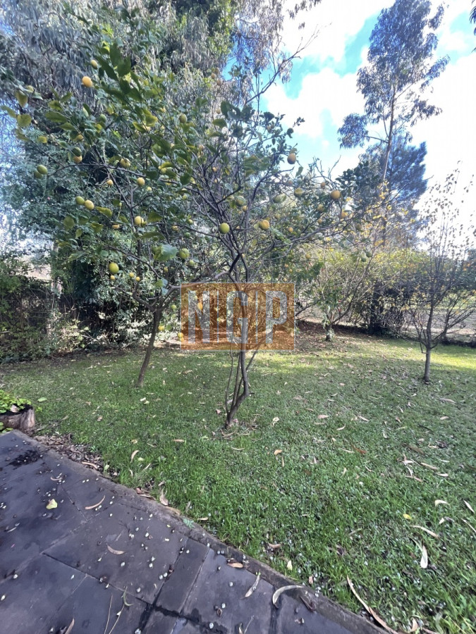 slider-properties