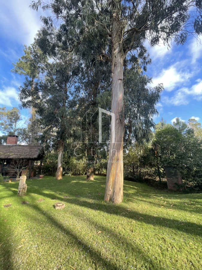 Casa ID.1589 - Casa en venta en Jardines de Cordoba ,  excelente zona 