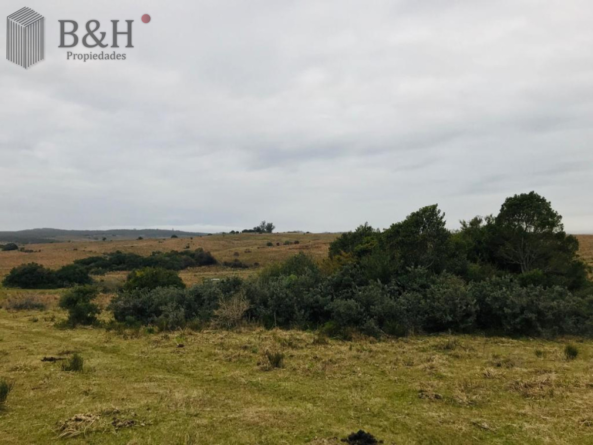 Chacra en Garzon sobre arroyo - GoPunta - Portal Inmobiliario de Punta del Este - Maldonado