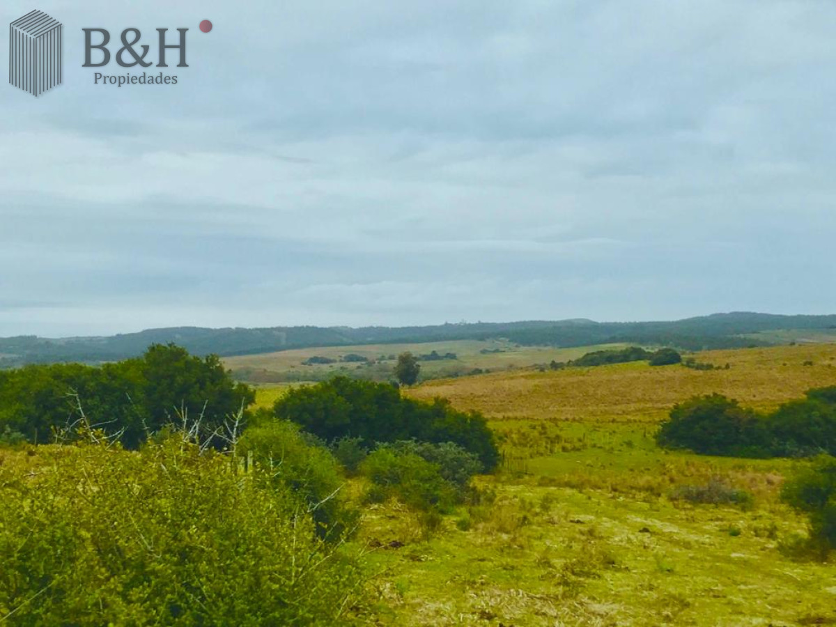 Chacra en Garzon sobre arroyo - GoPunta - Portal Inmobiliario de Punta del Este - Maldonado