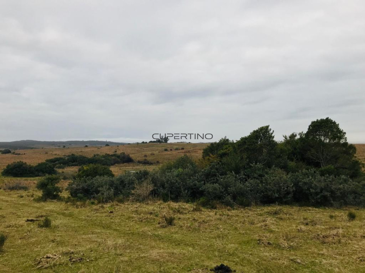 Campo en Garzón, — foto 3