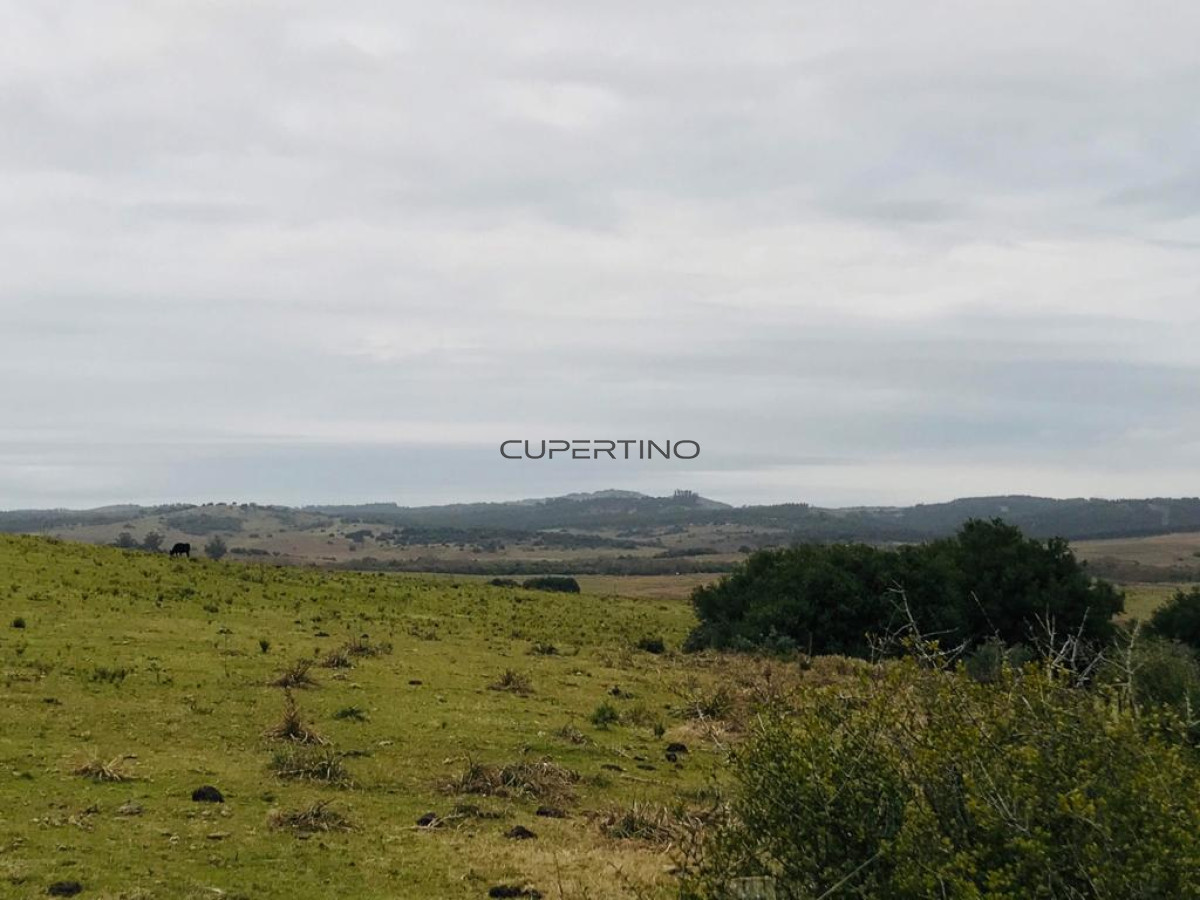 Campo en Garzón, — foto 4