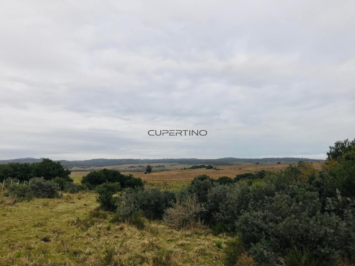 Campo en Garzón, — foto 7