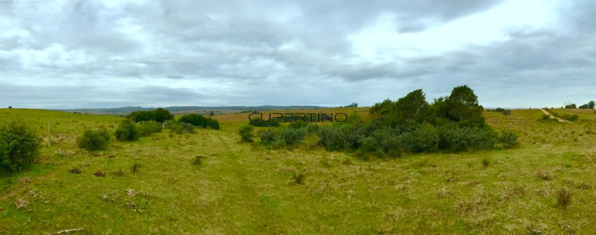 Campo en Garzón, — foto 2