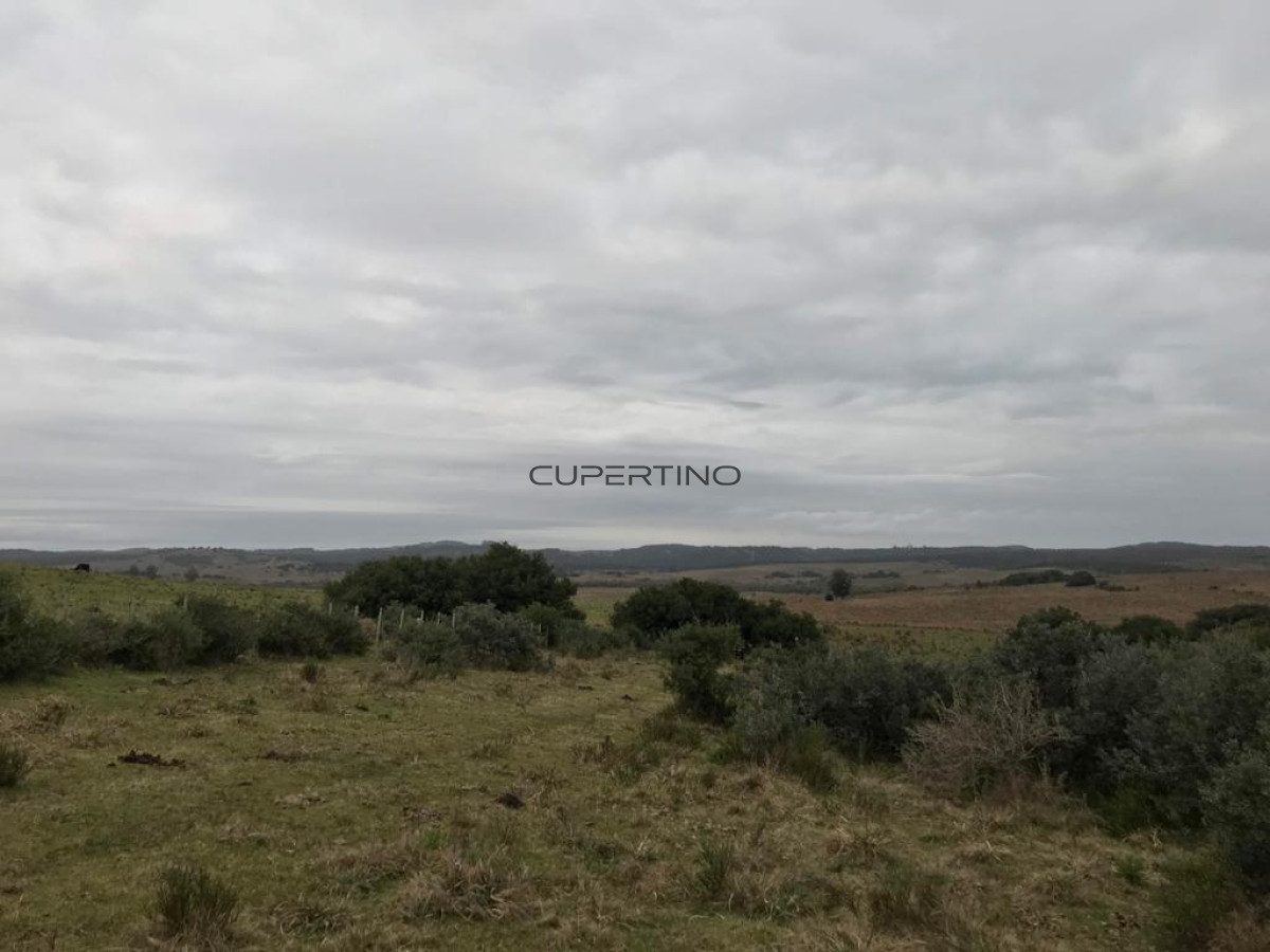 Campo en Garzón, — foto 6