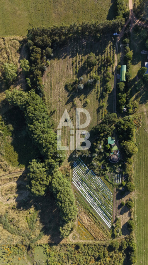 Chacra ID.762 - Chacra de 6 has en venta en Laguna de los Cisnes con construcción