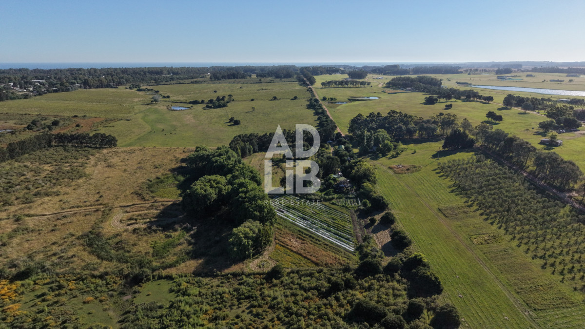 Chacra ID.762 - Chacra de 6 has en venta en Laguna de los Cisnes con construcción