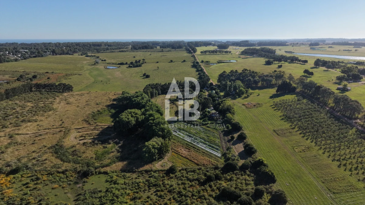 Chacra ID.762 - Chacra de 6 has en venta en Laguna de los Cisnes con construcción