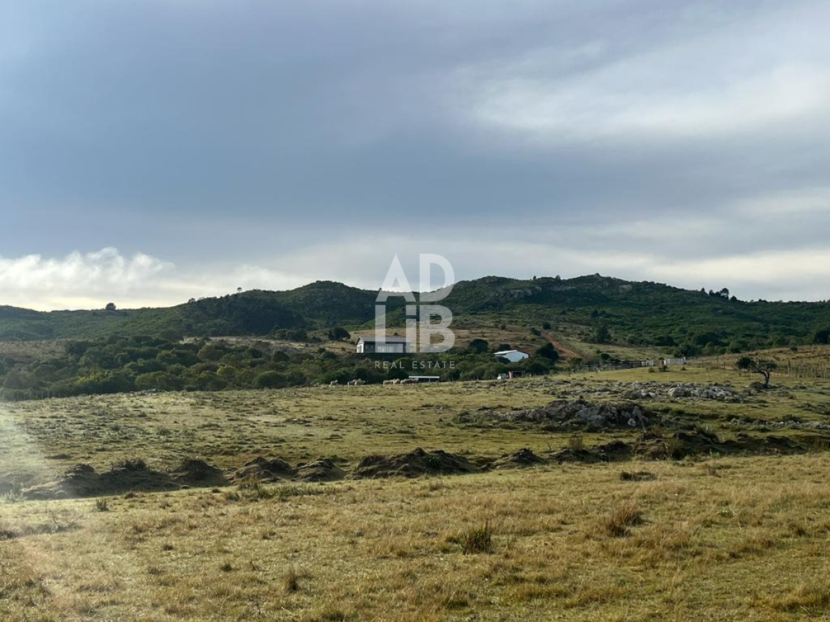 Chacra ID.392 - Chacra de 4,5 has en venta con tajamar y construcciones en Paso Dutra. 