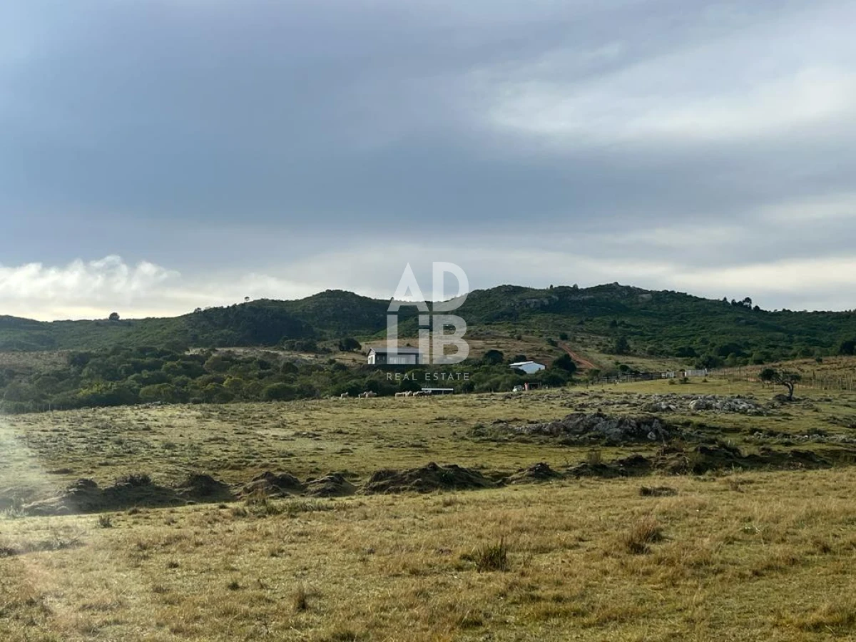 Chacra ID.392 - Chacra de 5 has en venta con tajamar y construcciones en Paso Dutra