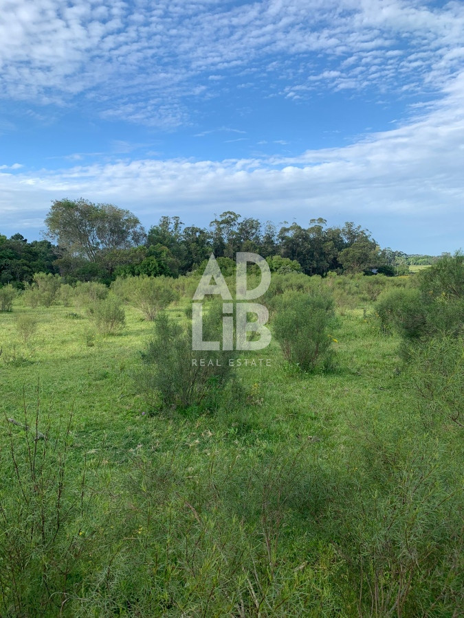 Chacra ID.50 - Chacra de 2.5 hectáreas en Lapataia. 