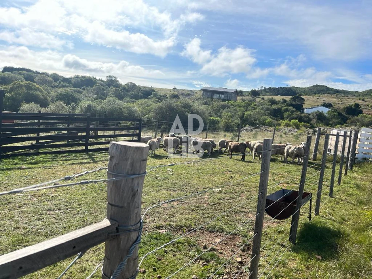 Chacra ID.392 - Chacra de 5 has en venta con tajamar y construcciones en Paso Dutra