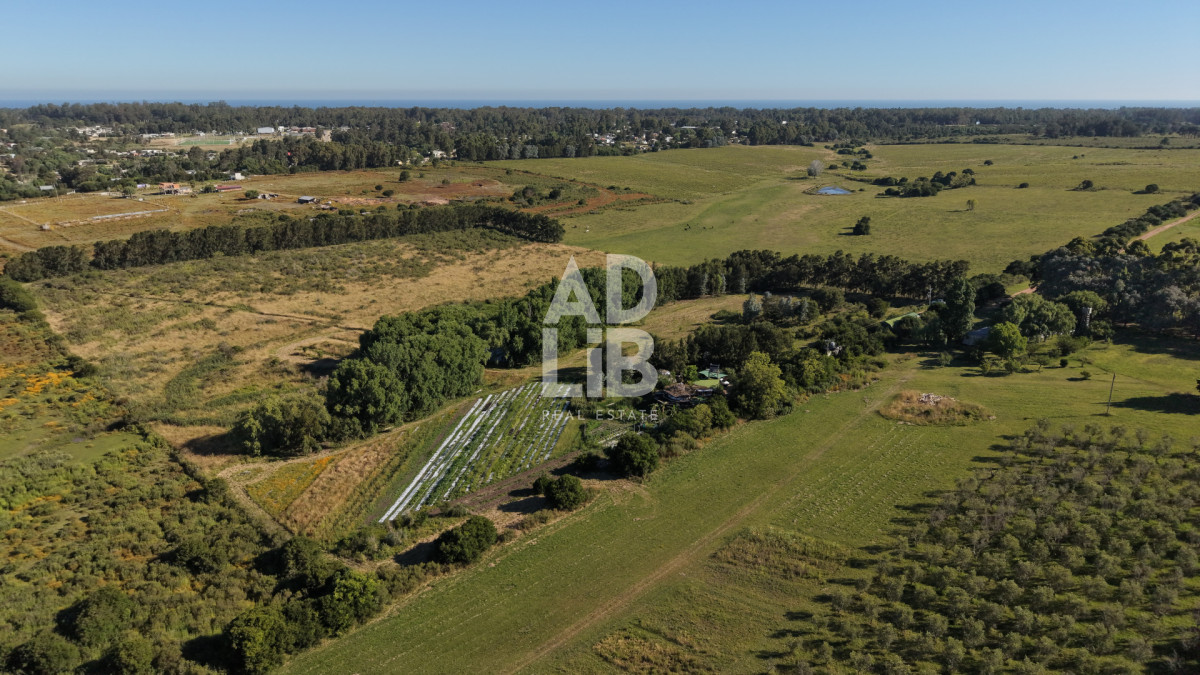 Chacra ID.739 - Chacra de 6has con construcción en venta en Laguna de los Cisnes.