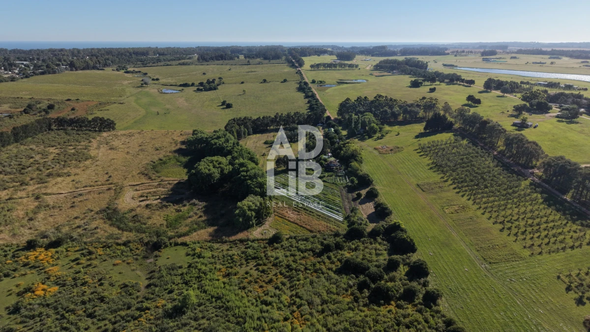 Chacra ID.762 - Chacra de 6 has en venta en Laguna de los Cisnes con construcción