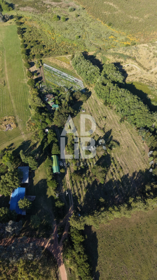 Chacra ID.762 - Chacra de 6 has en venta en Laguna de los Cisnes con construcción