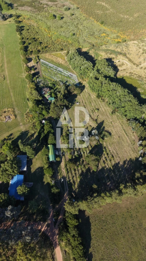 Chacra ID.762 - Chacra de 6 has en venta en Laguna de los Cisnes con construcción