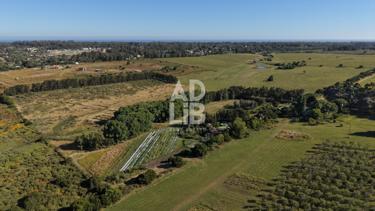 Chacra ID.739 - Chacra de 6has con construcción en venta en Laguna de los Cisnes.