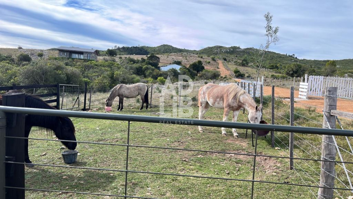 Chacra ID.392 - Chacra de 4,5 has en venta con tajamar y construcciones en Paso Dutra. 