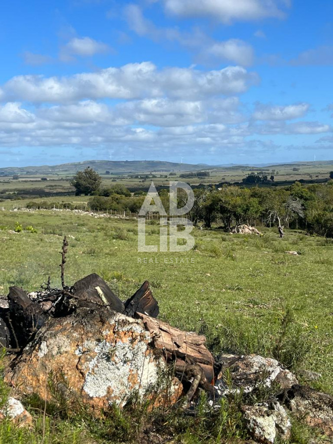Chacra ID.392 - Chacra de 4,5 has en venta con tajamar y construcciones en Paso Dutra. 