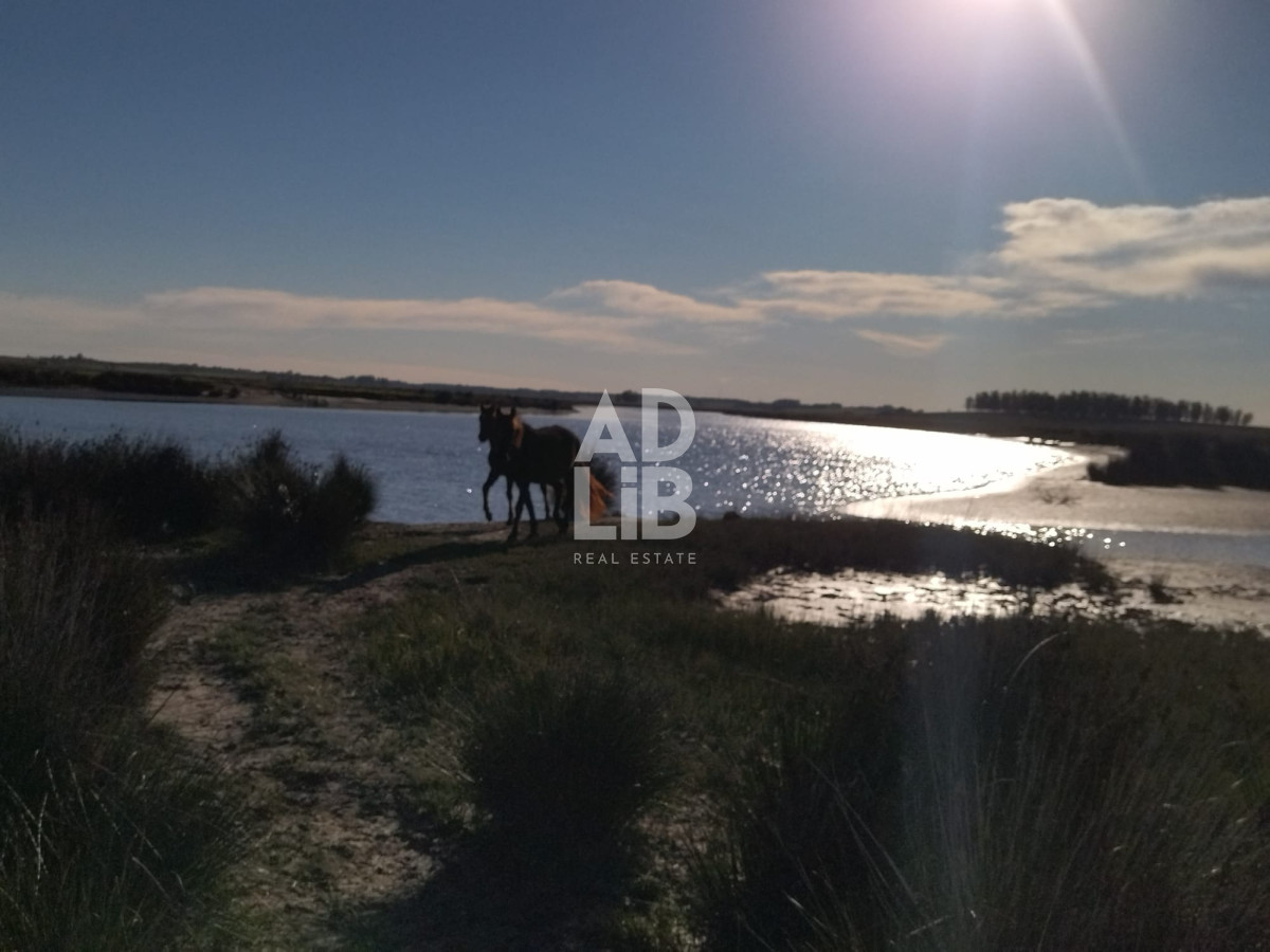 Campo Ref.139 - Vendo 76 hectáreas sobre el Arroyo Solis Chico!! Estación la floresta!