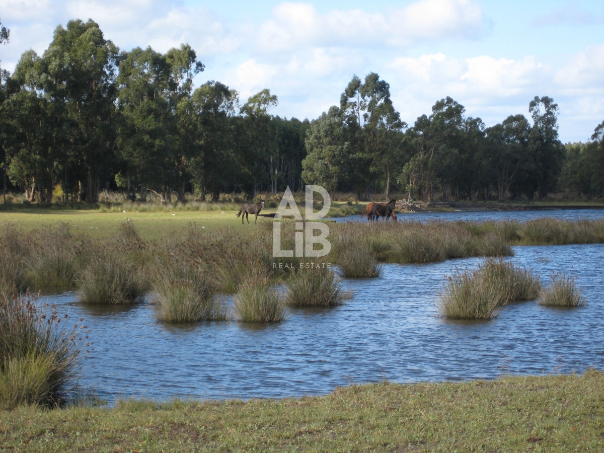 Campo Ref.139 - Vendo 76 hectáreas sobre el Arroyo Solis Chico!! Estación la floresta!