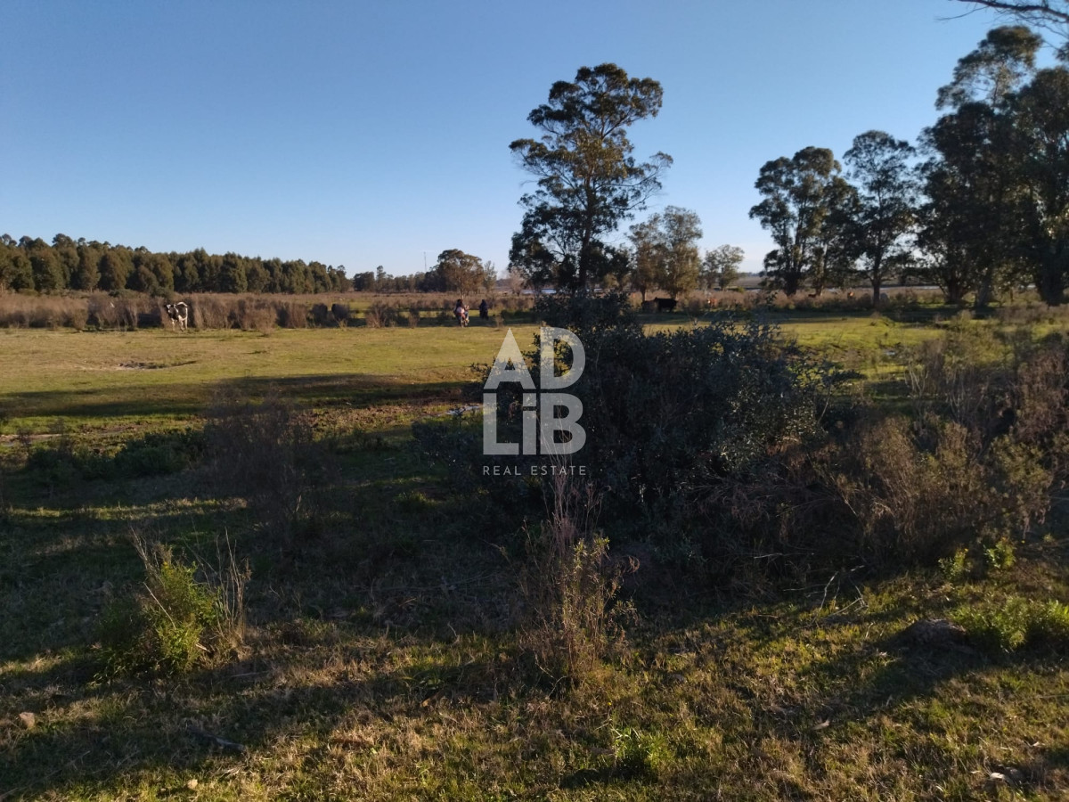Campo Ref.139 - Vendo 76 hectáreas sobre el Arroyo Solis Chico!! Estación la floresta!