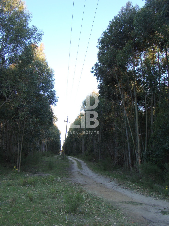 Campo Ref.139 - Vendo 76 hectáreas sobre el Arroyo Solis Chico!! Estación la floresta!
