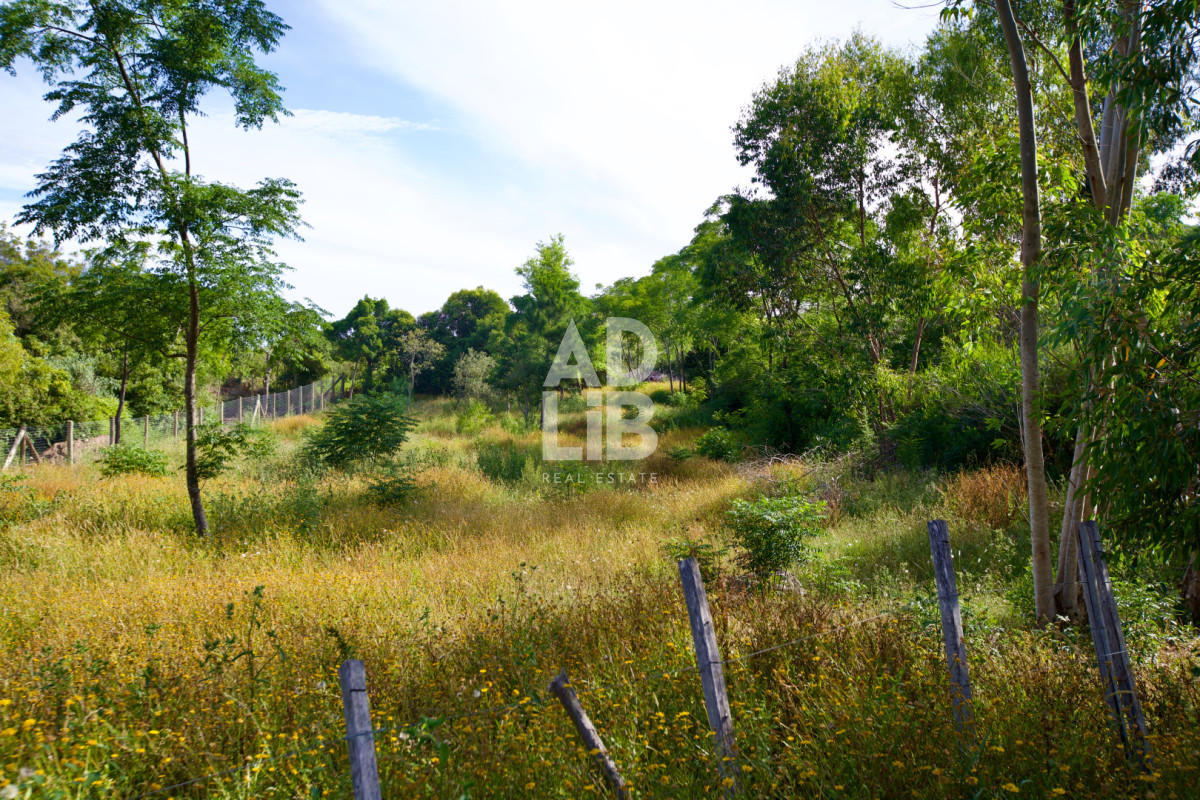 Terreno ID.738 - Lote de 1800 mts2 en venta en Punta Ballena