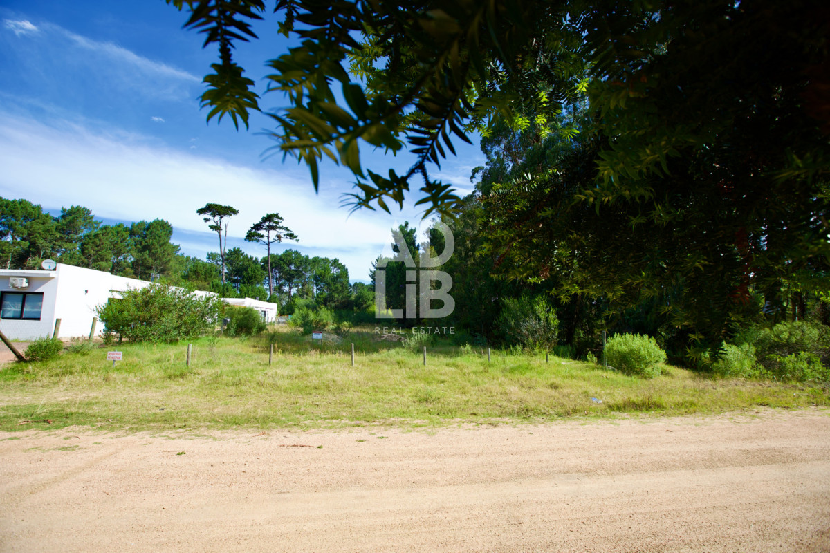 Terreno ID.464 - Vendo lote de 1600 mts en Parque Burnett. 20 frente x 80 fondo