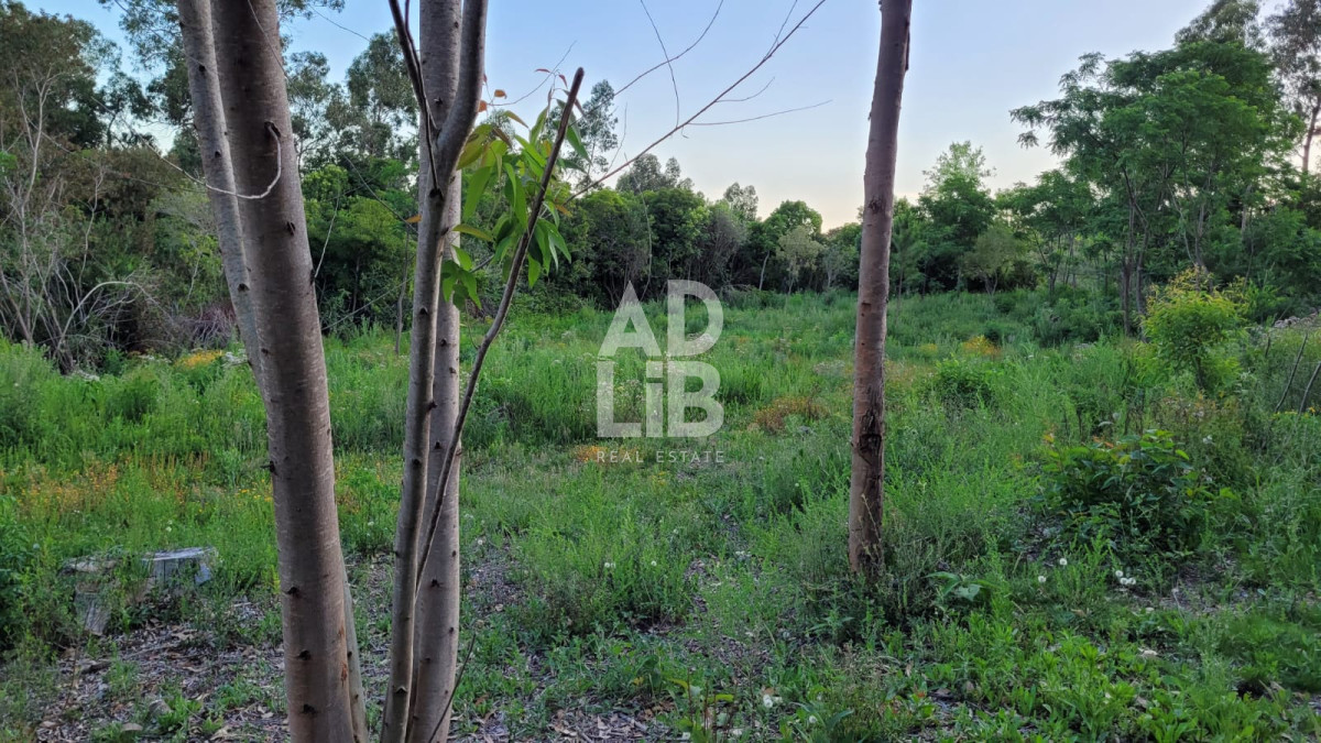 Terreno ID.738 - Lote de 1800 mts2 en venta en Punta Ballena