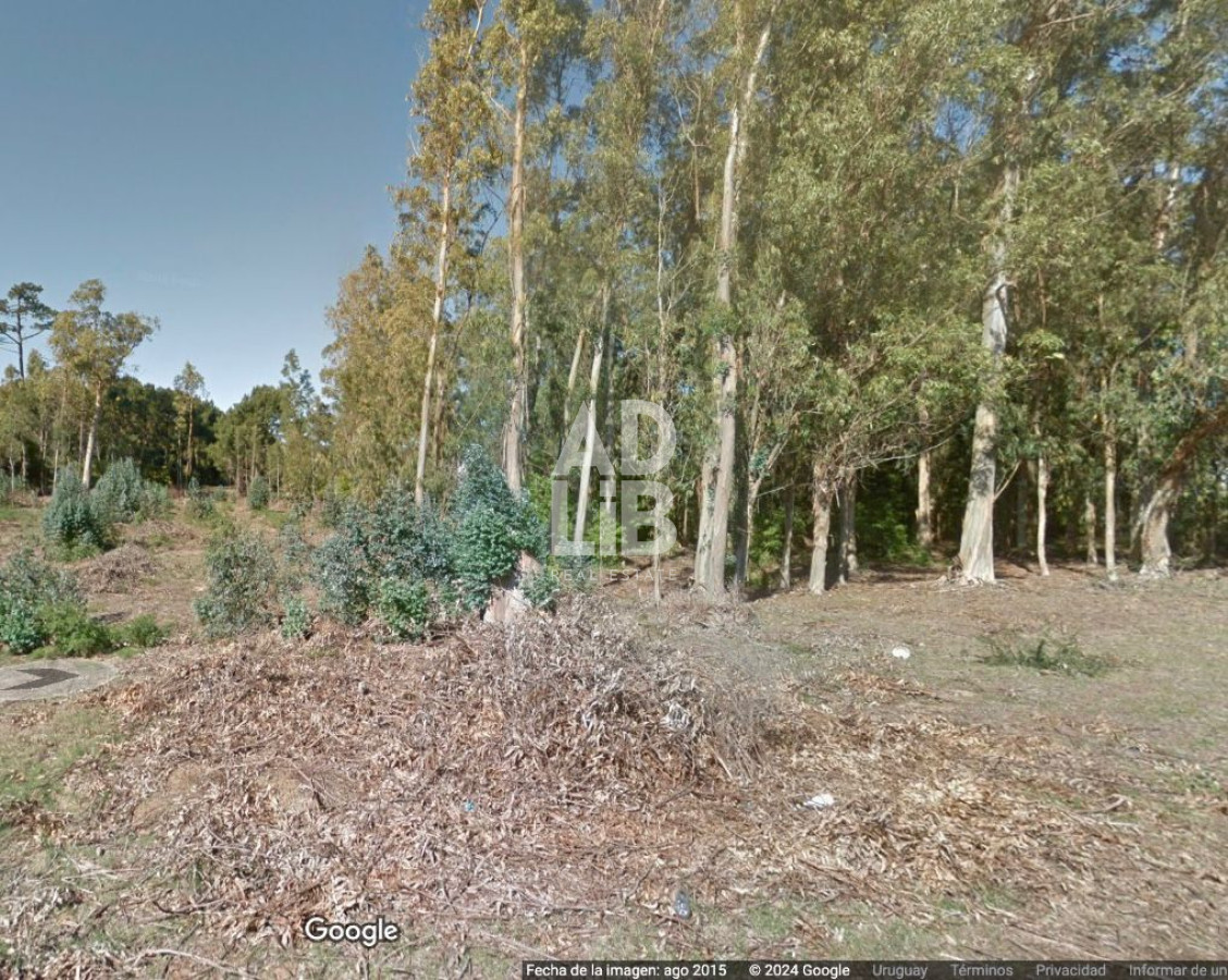 Terreno ID.464 - Vendo lote de 1600 mts en Parque Burnett. 20 frente x 80 fondo