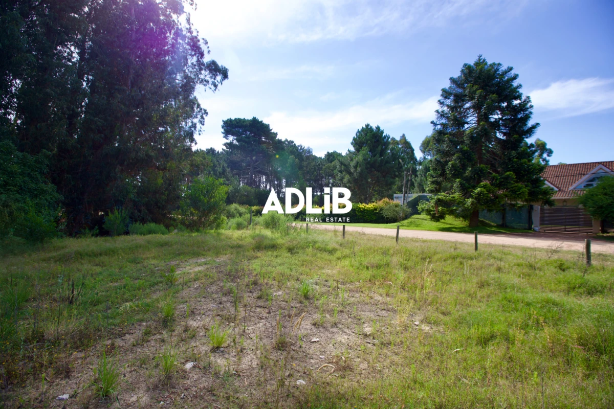 Terreno ID.464 - Vendo lote de 1600 mts en Parque Burnett. 20 frente x 80 fondo