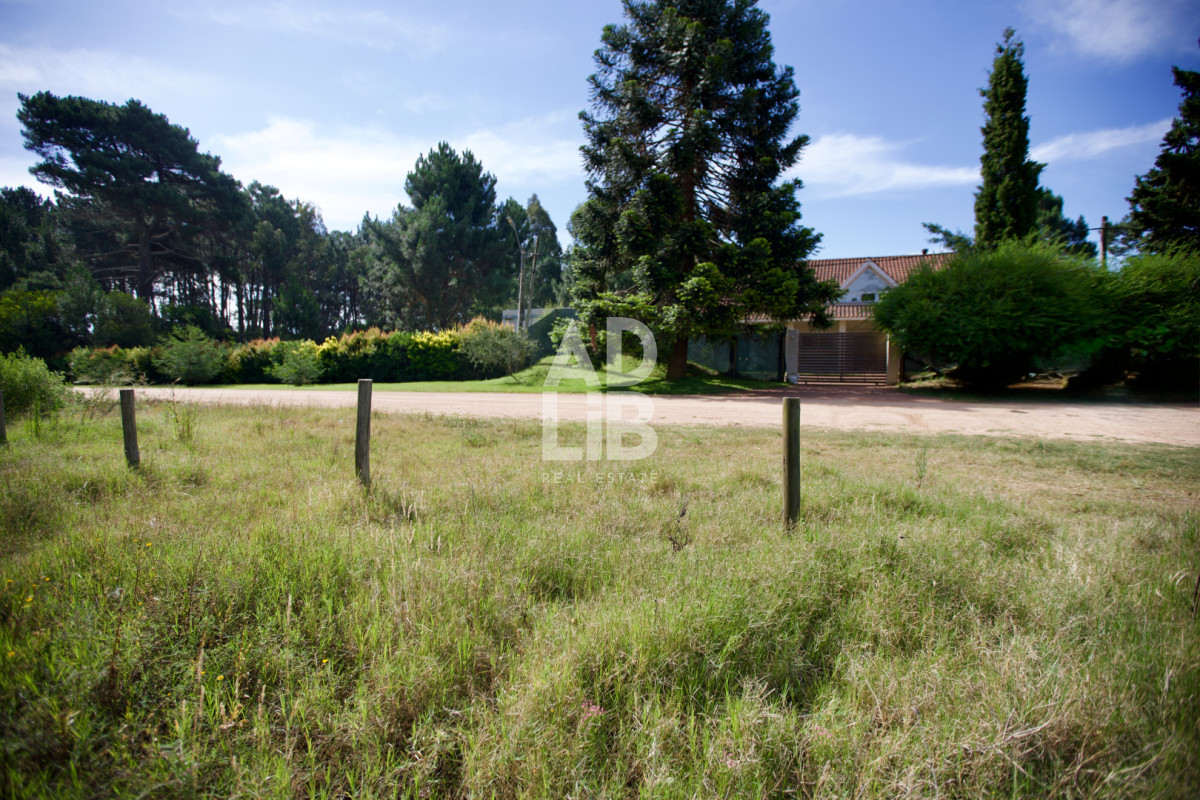 Terreno ID.464 - Vendo lote de 1600 mts en Parque Burnett. 20 frente x 80 fondo