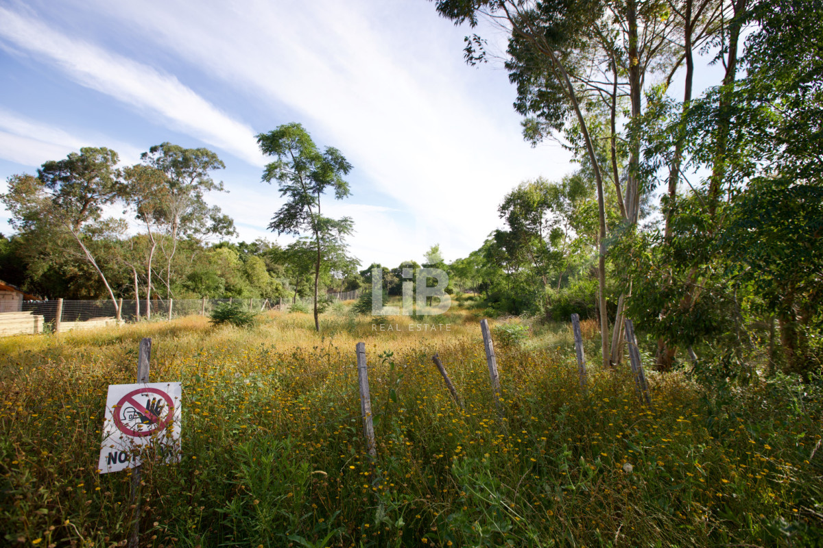 Terreno ID.738 - Lote de 1800 mts2 en venta en Punta Ballena