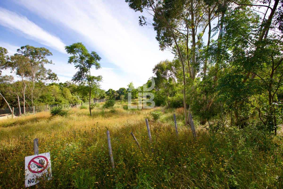 Terreno ID.738 - Lote de 1800 mts2 en venta en Punta Ballena