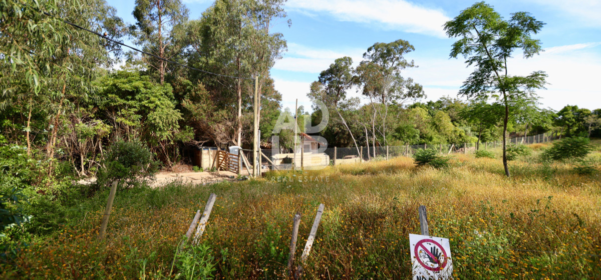 Terreno ID.738 - Lote de 1800 mts2 en venta en Punta Ballena