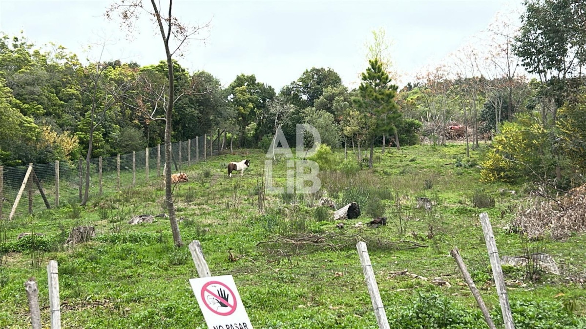 Terreno ID.738 - Lote de 1800 mts2 en venta en Punta Ballena