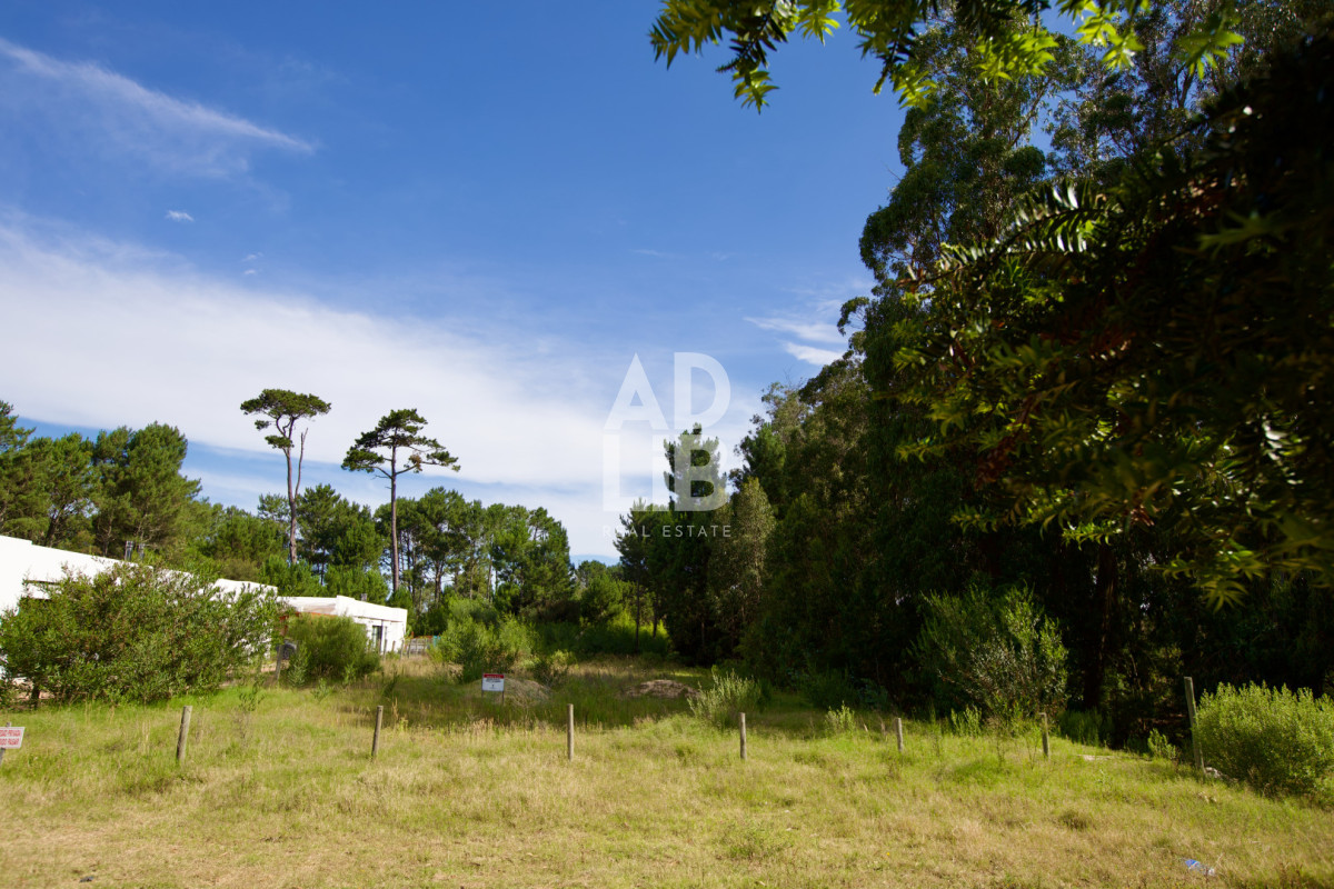 Terreno ID.464 - Vendo lote de 1600 mts en Parque Burnett. 20 frente x 80 fondo