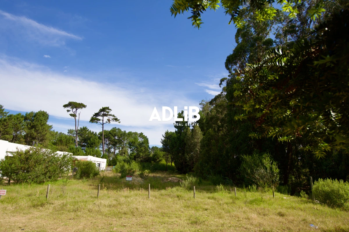 Terreno ID.464 - Vendo lote de 1600 mts en Parque Burnett. 20 frente x 80 fondo