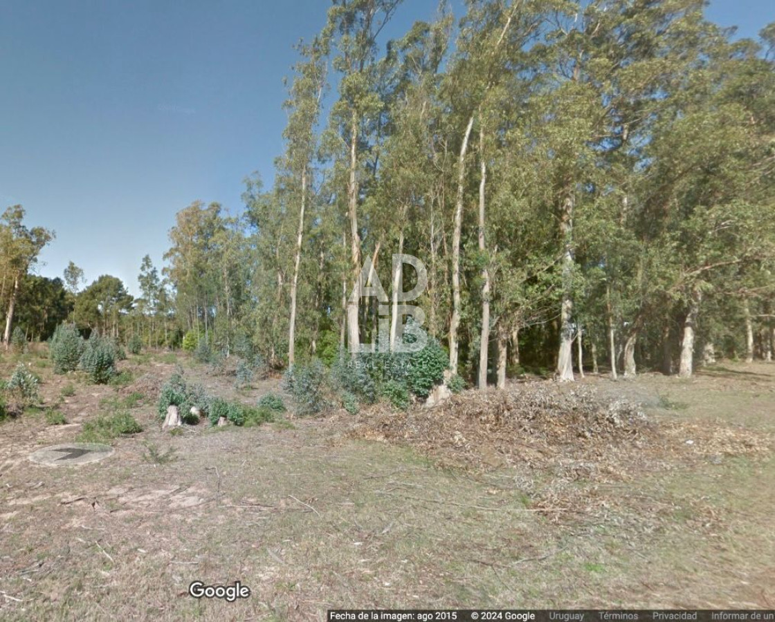 Terreno ID.464 - Vendo lote de 1600 mts en Parque Burnett. 20 frente x 80 fondo