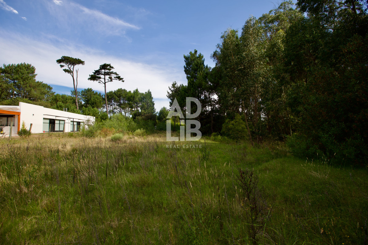 Terreno ID.464 - Vendo lote de 1600 mts en Parque Burnett. 20 frente x 80 fondo