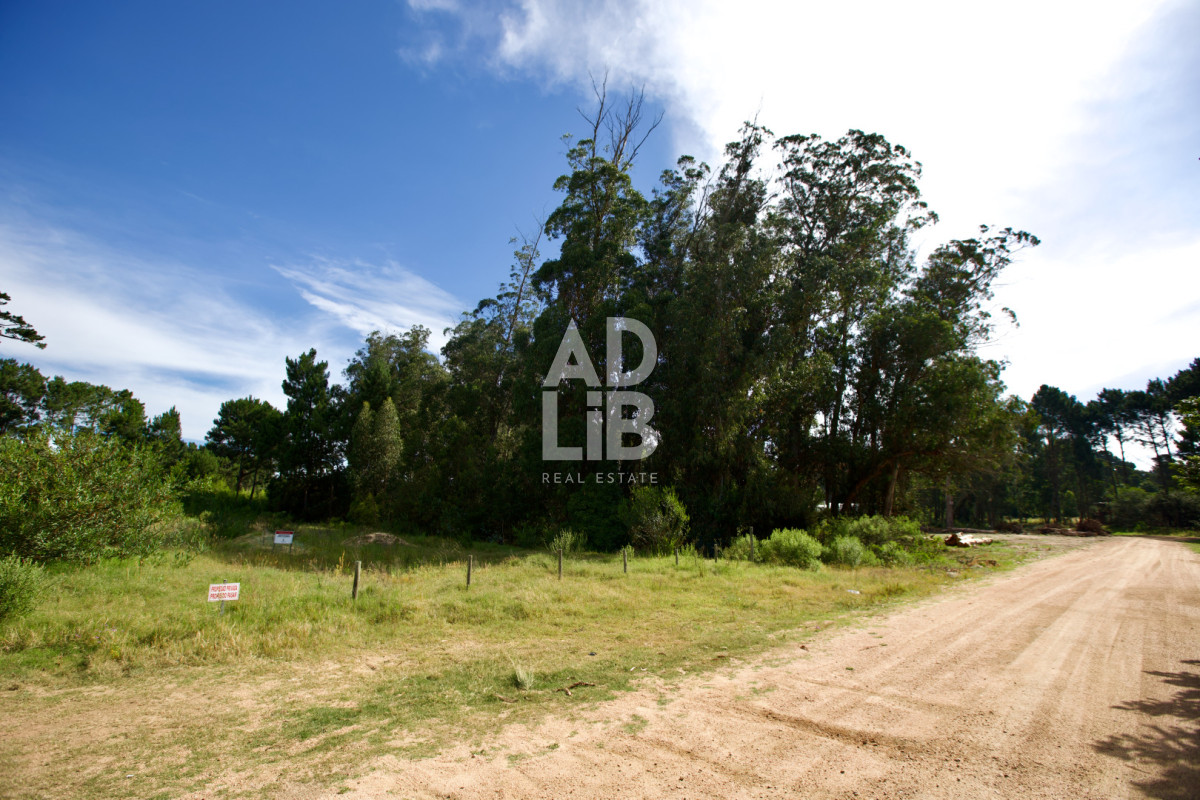 Terreno ID.464 - Vendo lote de 1600 mts en Parque Burnett. 20 frente x 80 fondo