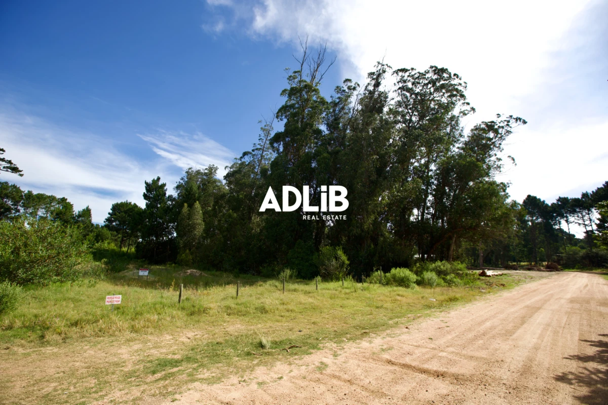Terreno ID.464 - Vendo lote de 1600 mts en Parque Burnett. 20 frente x 80 fondo