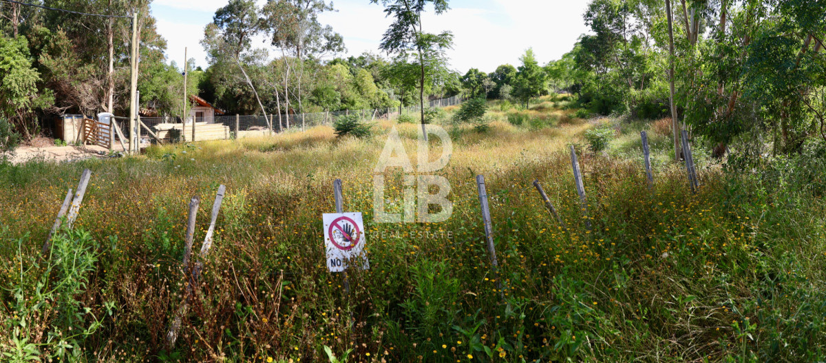 Terreno ID.738 - Lote de 1800 mts2 en venta en Punta Ballena