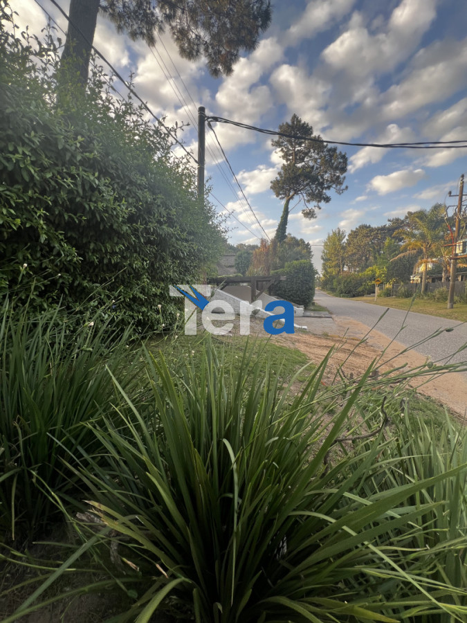 Apartamento ID.21445 - APTO EN VENTA DE 3 DORMITORIOS EN VENTA EN PUNTA DEL ESTE