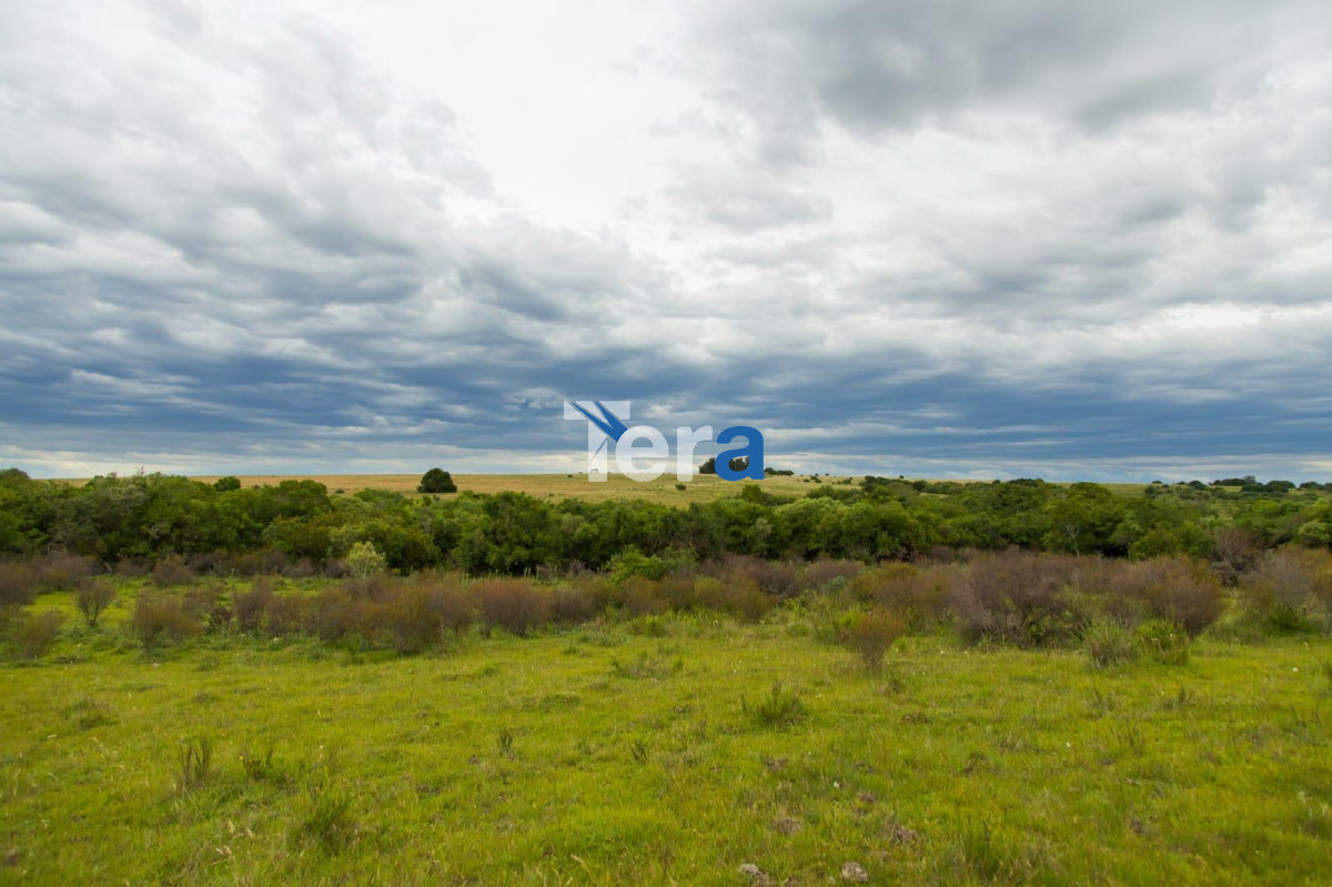 Apartamento ID.20468 - APTO 