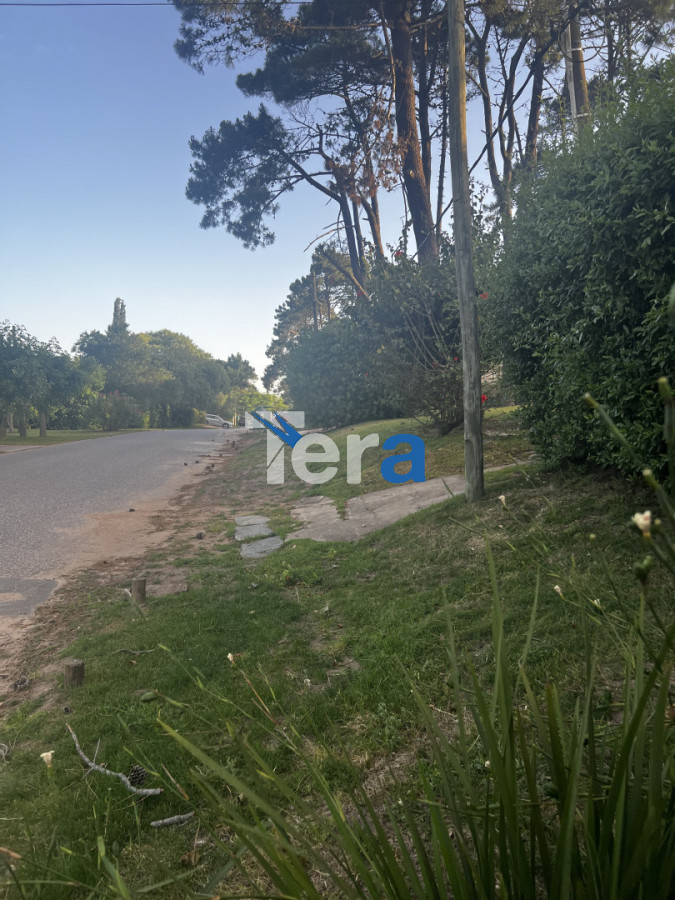 Apartamento ID.21445 - APTO EN VENTA DE 3 DORMITORIOS EN VENTA EN PUNTA DEL ESTE