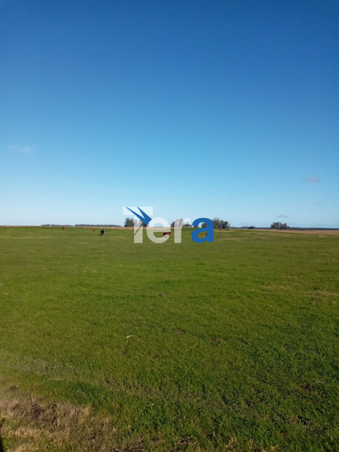 Casa ID.21493 - afsasdfadsfsdfasdf